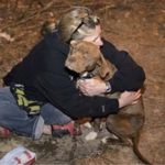 飼い主の元から盗まれ虐待された犬…1年後痛々しい姿で発見された犬に驚くべき事実が…【世界が感動！涙と感動エピソード】