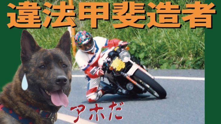 【甲斐犬】犬に自転車を引かせる問題